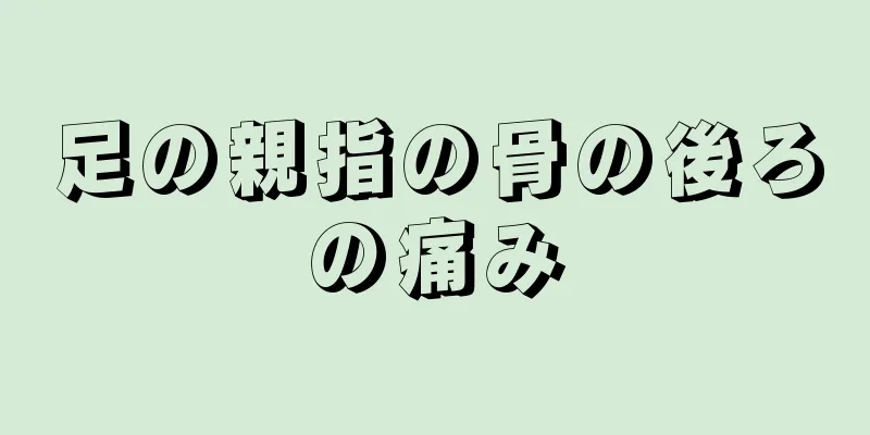 足の親指の骨の後ろの痛み