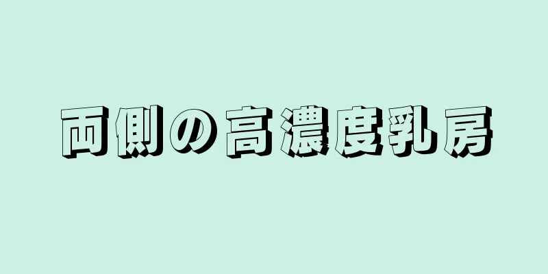 両側の高濃度乳房