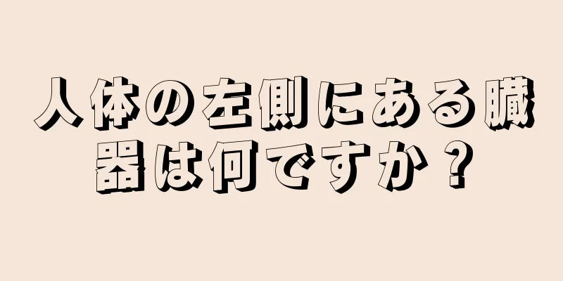 人体の左側にある臓器は何ですか？