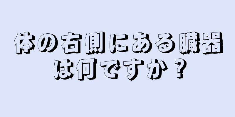 体の右側にある臓器は何ですか？