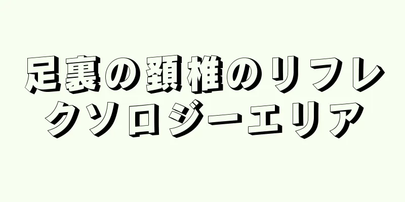 足裏の頚椎のリフレクソロジーエリア