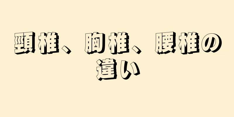 頸椎、胸椎、腰椎の違い