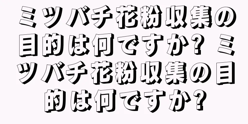 ミツバチ花粉収集の目的は何ですか? ミツバチ花粉収集の目的は何ですか?