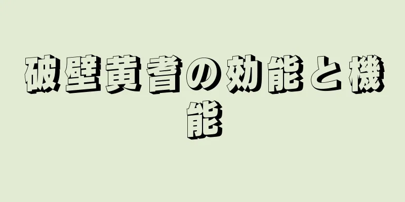 破壁黄耆の効能と機能