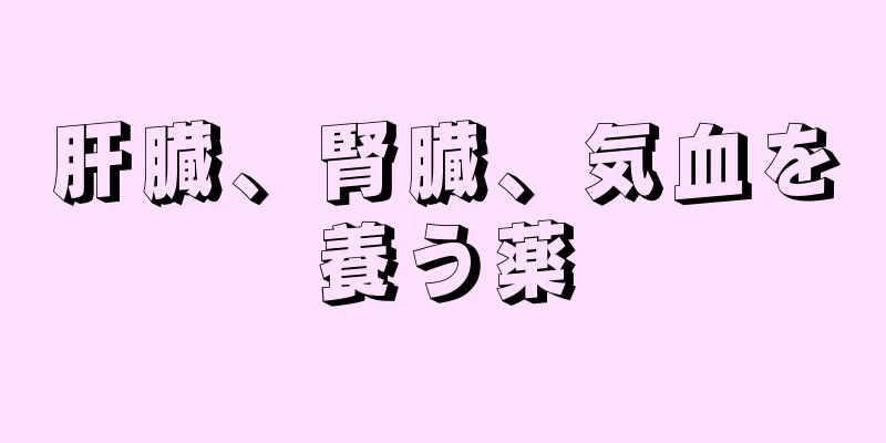 肝臓、腎臓、気血を養う薬