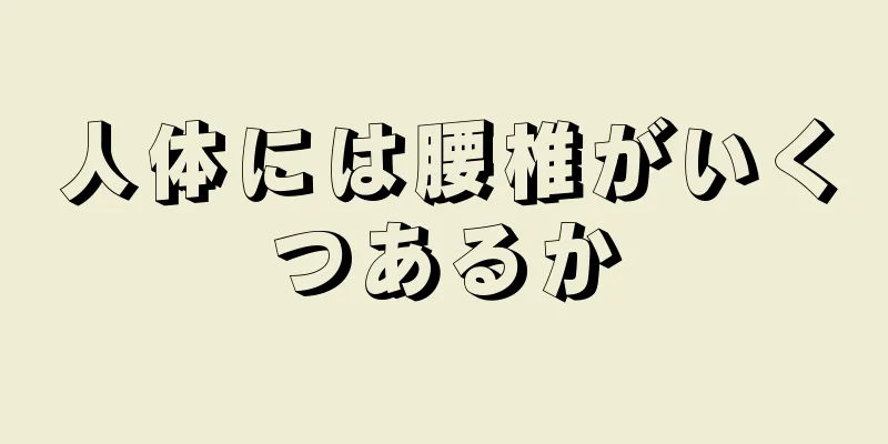 人体には腰椎がいくつあるか