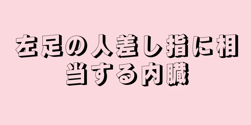 左足の人差し指に相当する内臓