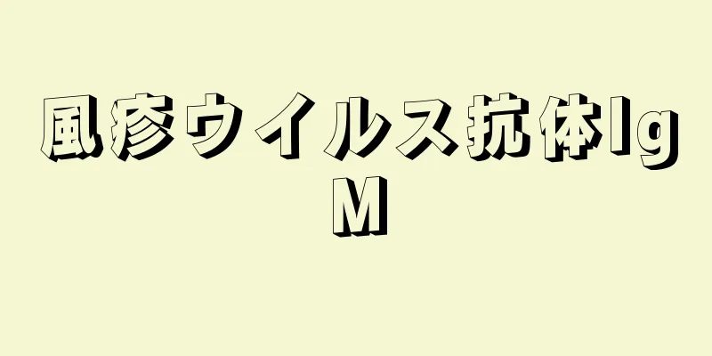 風疹ウイルス抗体IgM