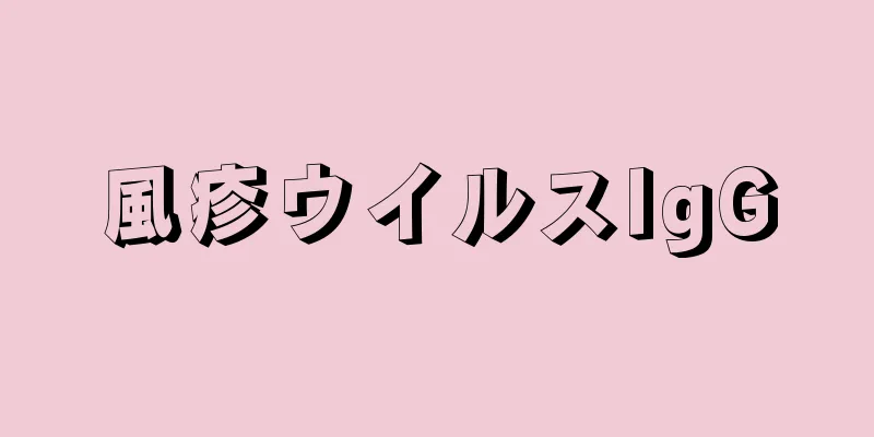 風疹ウイルスIgG