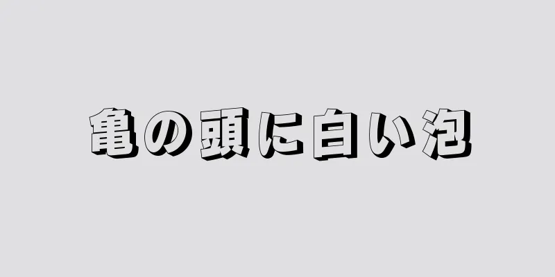 亀の頭に白い泡