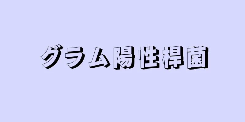 グラム陽性桿菌