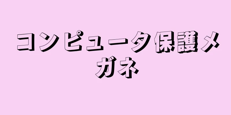 コンピュータ保護メガネ