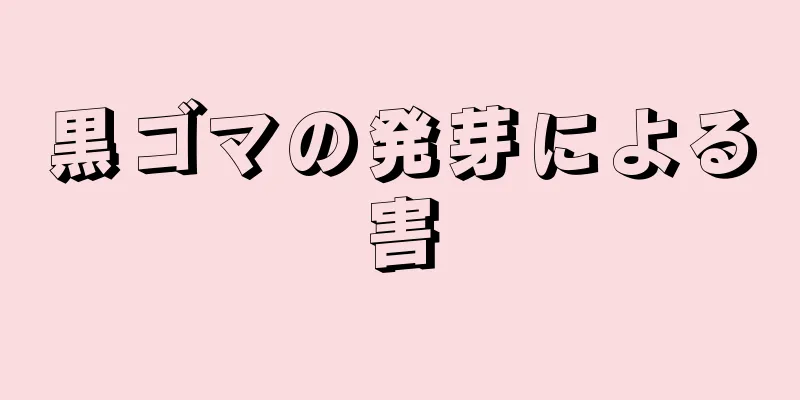 黒ゴマの発芽による害