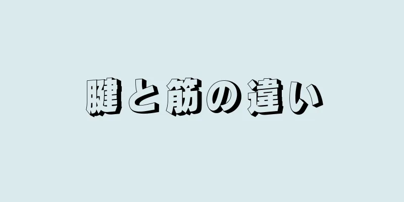 腱と筋の違い