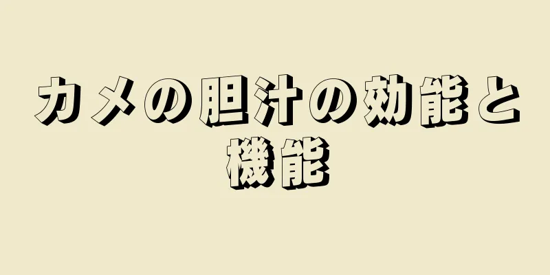 カメの胆汁の効能と機能