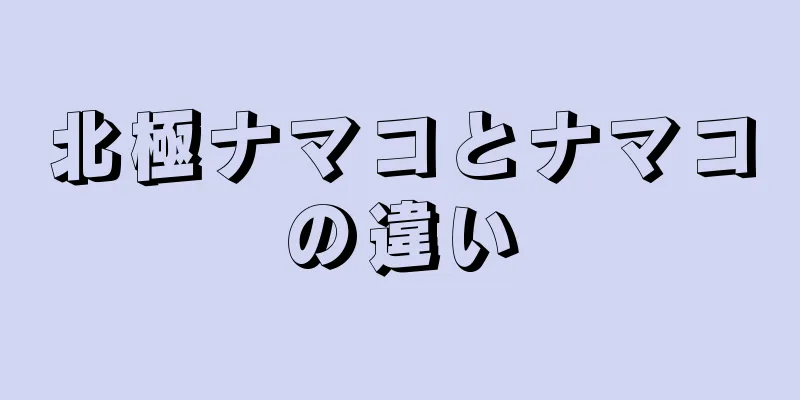 北極ナマコとナマコの違い