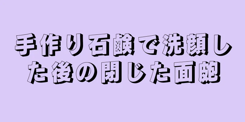 手作り石鹸で洗顔した後の閉じた面皰