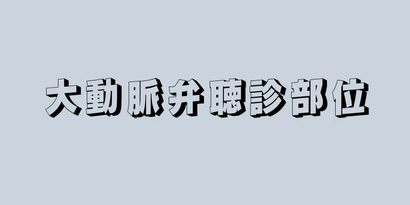 大動脈弁聴診部位