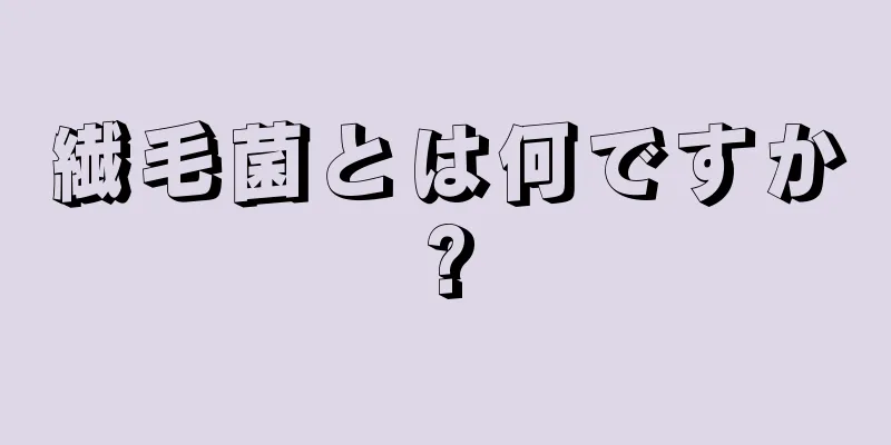 繊毛菌とは何ですか?