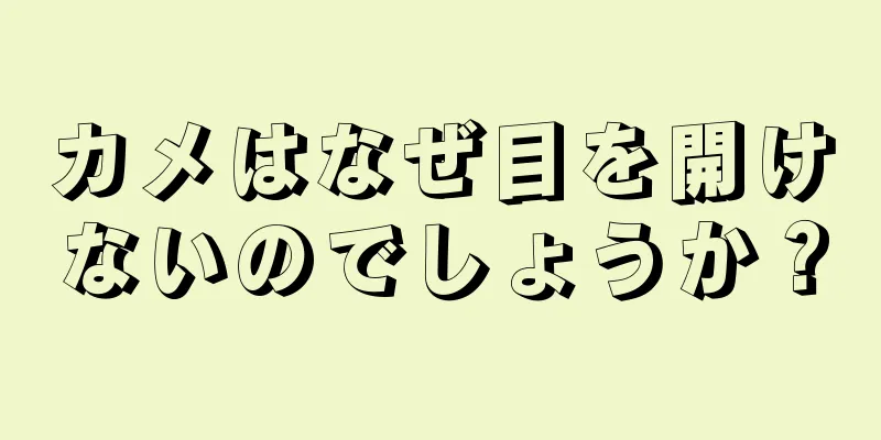 カメはなぜ目を開けないのでしょうか？