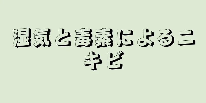 湿気と毒素によるニキビ