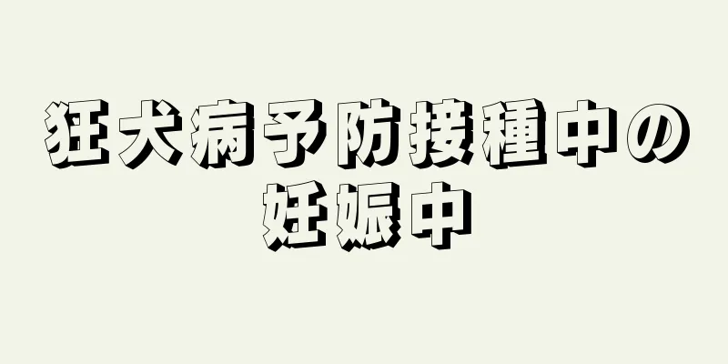 狂犬病予防接種中の妊娠中