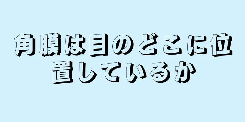 角膜は目のどこに位置しているか