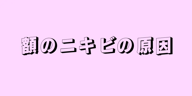 額のニキビの原因