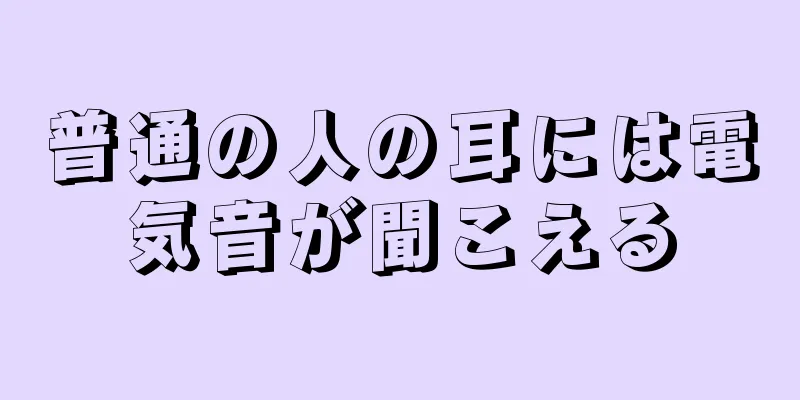 普通の人の耳には電気音が聞こえる