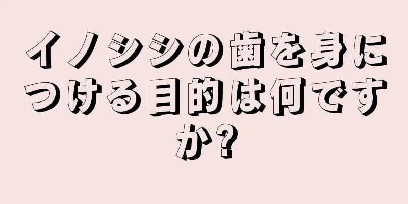 イノシシの歯を身につける目的は何ですか?