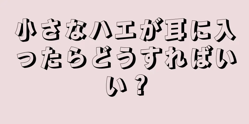 小さなハエが耳に入ったらどうすればいい？