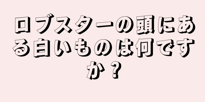 ロブスターの頭にある白いものは何ですか？