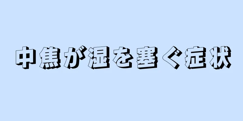 中焦が湿を塞ぐ症状