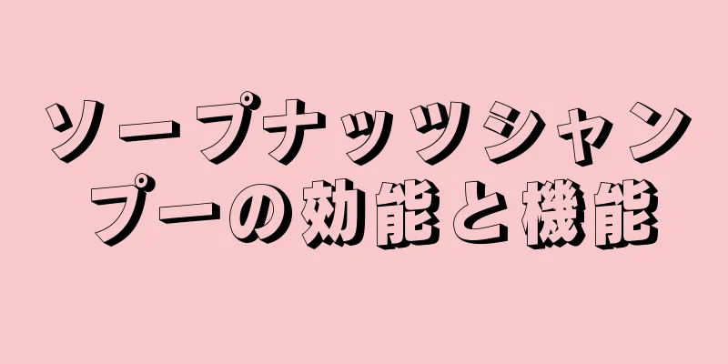 ソープナッツシャンプーの効能と機能