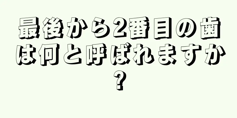 最後から2番目の歯は何と呼ばれますか?