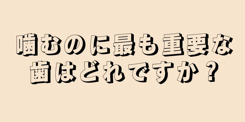 噛むのに最も重要な歯はどれですか？