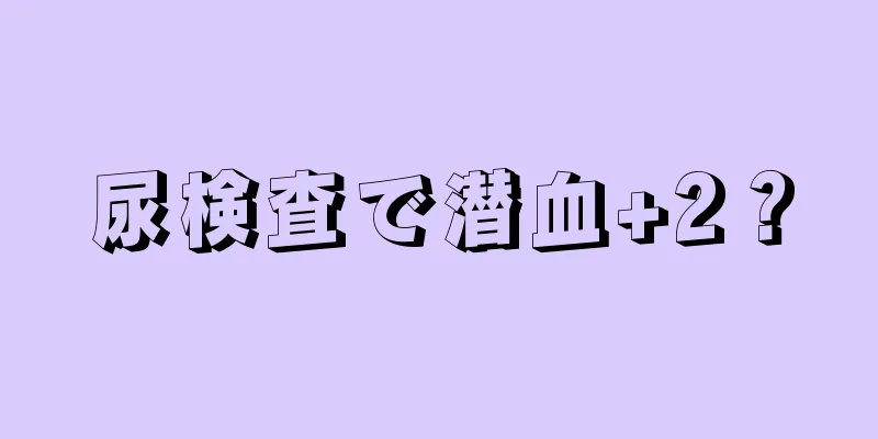 尿検査で潜血+2？