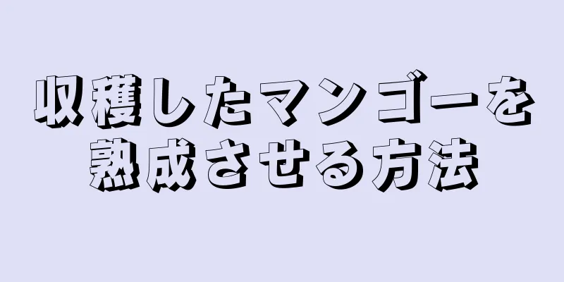 収穫したマンゴーを熟成させる方法