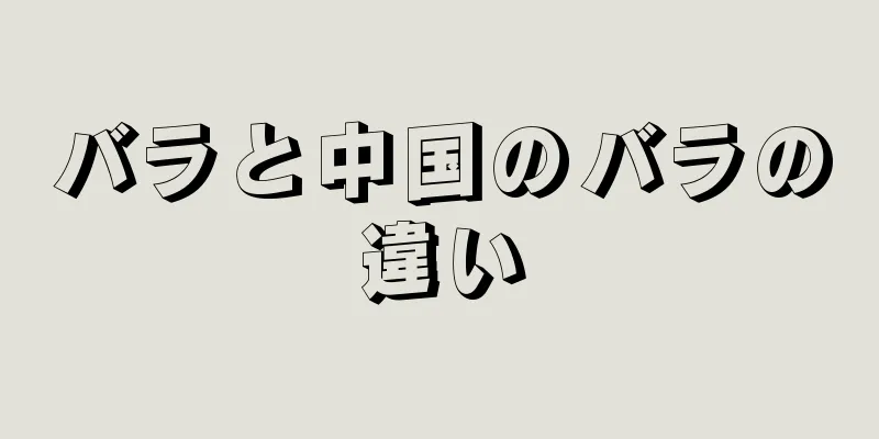 バラと中国のバラの違い