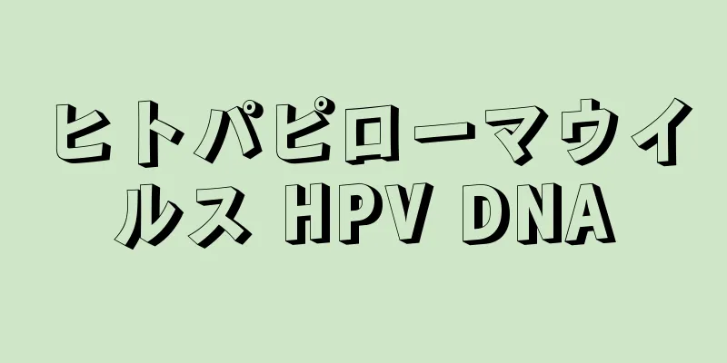 ヒトパピローマウイルス HPV DNA