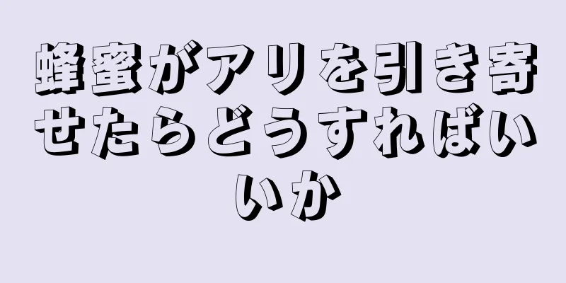 蜂蜜がアリを引き寄せたらどうすればいいか