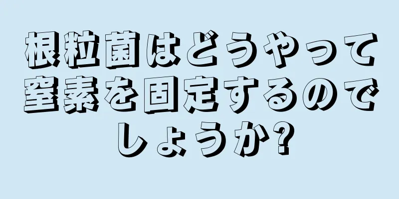 根粒菌はどうやって窒素を固定するのでしょうか?