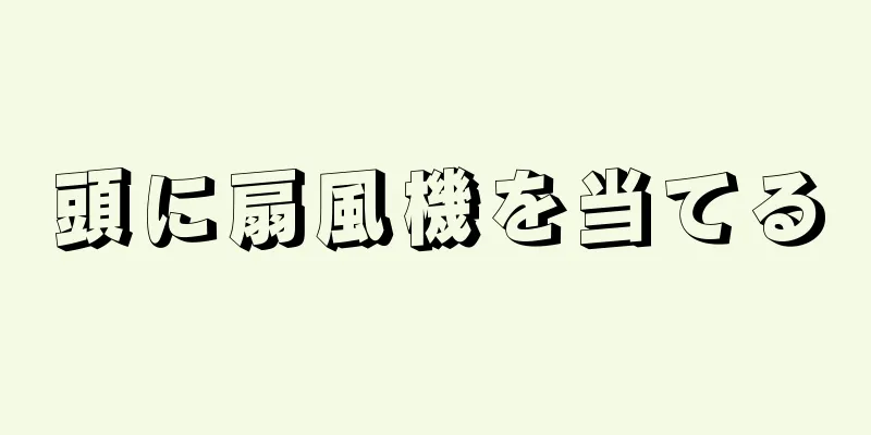 頭に扇風機を当てる