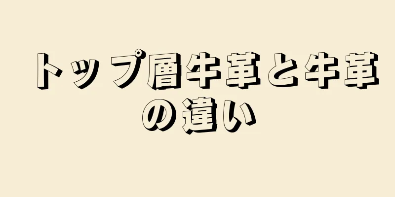 トップ層牛革と牛革の違い