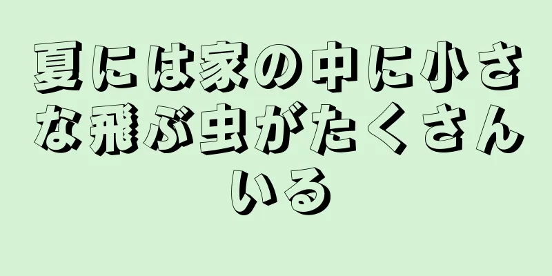 夏には家の中に小さな飛ぶ虫がたくさんいる