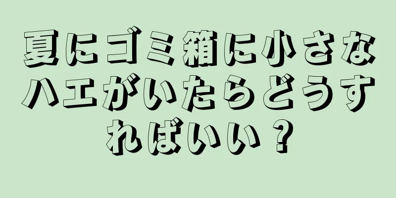 夏にゴミ箱に小さなハエがいたらどうすればいい？