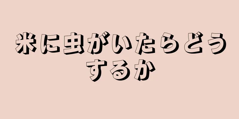 米に虫がいたらどうするか