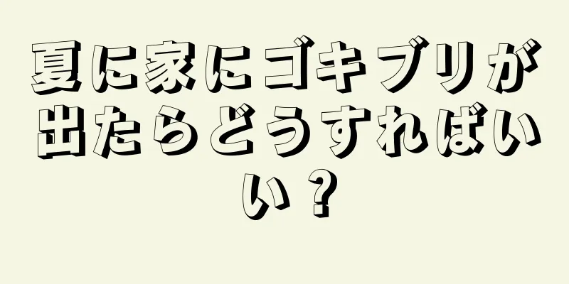 夏に家にゴキブリが出たらどうすればいい？