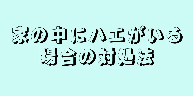 家の中にハエがいる場合の対処法