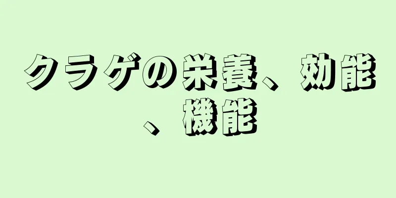 クラゲの栄養、効能、機能